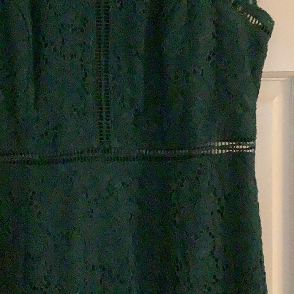 Bardot lace panel dress in hunter/emerald green EUC - Picture 9 of 16